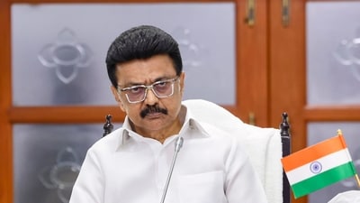 Tamil Nadu chief minister MK Stalin at the Secretariat. (PTI) Tamil Nadu chief minister MK Stalin at the Secretariat. (PTI)