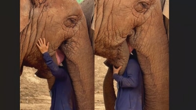 A woman sang to an elephant, who wrapped its trunk around her in a tender moment that captured hearts online. (Instagram/lek_chailert) A woman sang to an elephant, who wrapped its trunk around her in a tender moment that captured hearts online. (Instagram/lek_chailert)