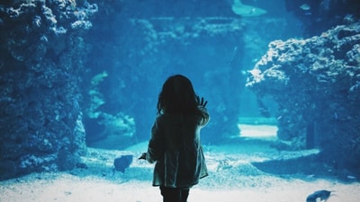 A viral video shows a giant aquarium shattering and crashing down on a crowd of onlookers. (UnSplash)