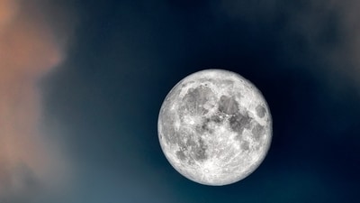Find out how tarot cards bring luck to a few zodiac signs before the Sturgeon moon on August 9, 2025. Find out how tarot cards bring luck to a few zodiac signs before the Sturgeon moon on August 9, 2025.