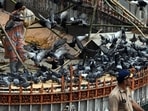 On Wednesday morning, over a hundred members of the Jain community protested at Dadar. They forcefully opened the Dadar Kabutarkhana, removed the plastic sheet, and offered grains to the pigeons. On Wednesday morning, over a hundred members of the Jain community protested at Dadar. They forcefully opened the Dadar Kabutarkhana, removed the plastic sheet, and offered grains to the pigeons.