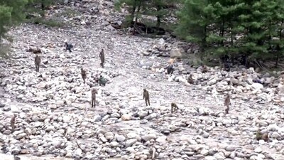 The Army, NDRF, SDRF, ITBP and other agencies are engaged in rescue operations as over 50 people continue to remain missing. (ANI) The Army, NDRF, SDRF, ITBP and other agencies are engaged in rescue operations as over 50 people continue to remain missing. (ANI)