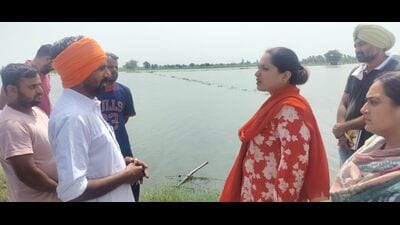 Fazilka deputy commissioner (DC) Amarpreet Kaur Sandhu confirmed that directions had been issued to all sub-divisional magistrates (SDMs) to carry out the assessment work at the earliest. (HT) Fazilka deputy commissioner (DC) Amarpreet Kaur Sandhu confirmed that directions had been issued to all sub-divisional magistrates (SDMs) to carry out the assessment work at the earliest. (HT)