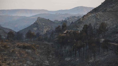 This photograph shows a burnt forest area during a wildfire in Fraisse-des-Corbieres, southern France on August 7, 2025. The wildfire has killed one person and injured thirteen others, scorching 11,000 hectares as firefighters work to contain the blaze, local officials said. (AFP) This photograph shows a burnt forest area during a wildfire in Fraisse-des-Corbieres, southern France on August 7, 2025. The wildfire has killed one person and injured thirteen others, scorching 11,000 hectares as firefighters work to contain the blaze, local officials said. (AFP)
