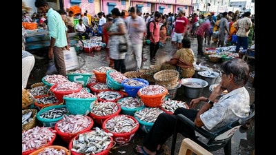 Thanks to the Green Revolution and its iterative versions in dairy and fisheries, India is now self-sufficient in food production and even a major exporter of many products. (AFP) Thanks to the Green Revolution and its iterative versions in dairy and fisheries, India is now self-sufficient in food production and even a major exporter of many products. (AFP)