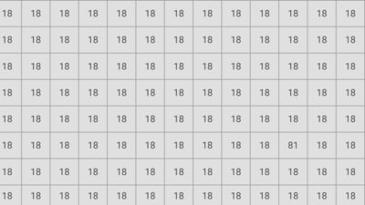 Can you spot the hidden 81? Can you spot the hidden 81?
