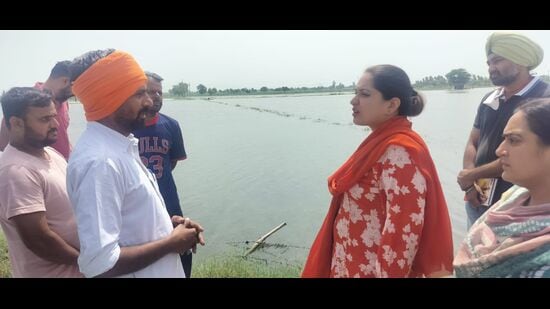 Fazilka deputy commissioner (DC) Amarpreet Kaur Sandhu confirmed that directions had been issued to all sub-divisional magistrates (SDMs) to carry out the assessment work at the earliest. (HT)