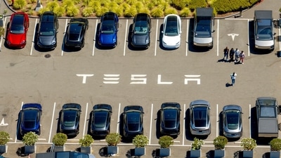 Tesla vehicles line a parking area at the company's Fremont (AP/Representative) Tesla vehicles line a parking area at the company's Fremont (AP/Representative)