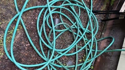 Spot the end of the garden hose that lies coiled up on the ground. (Reddit) Spot the end of the garden hose that lies coiled up on the ground. (Reddit)