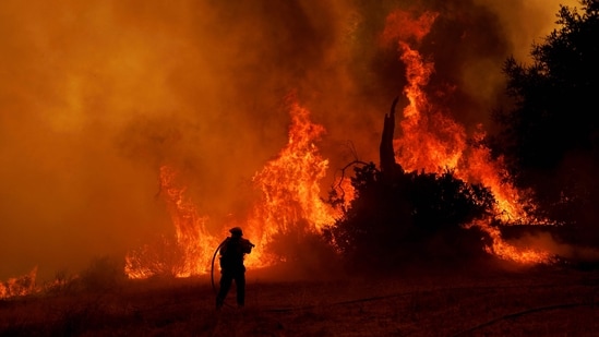The Canyon Fire ignited near Holser Canyon Road, spreading from 30 to 1,000 acres in just two hours. (Photo by Eric Thayer / GETTY IMAGES NORTH AMERICA / Getty Images via AFP) (Getty Images via AFP)