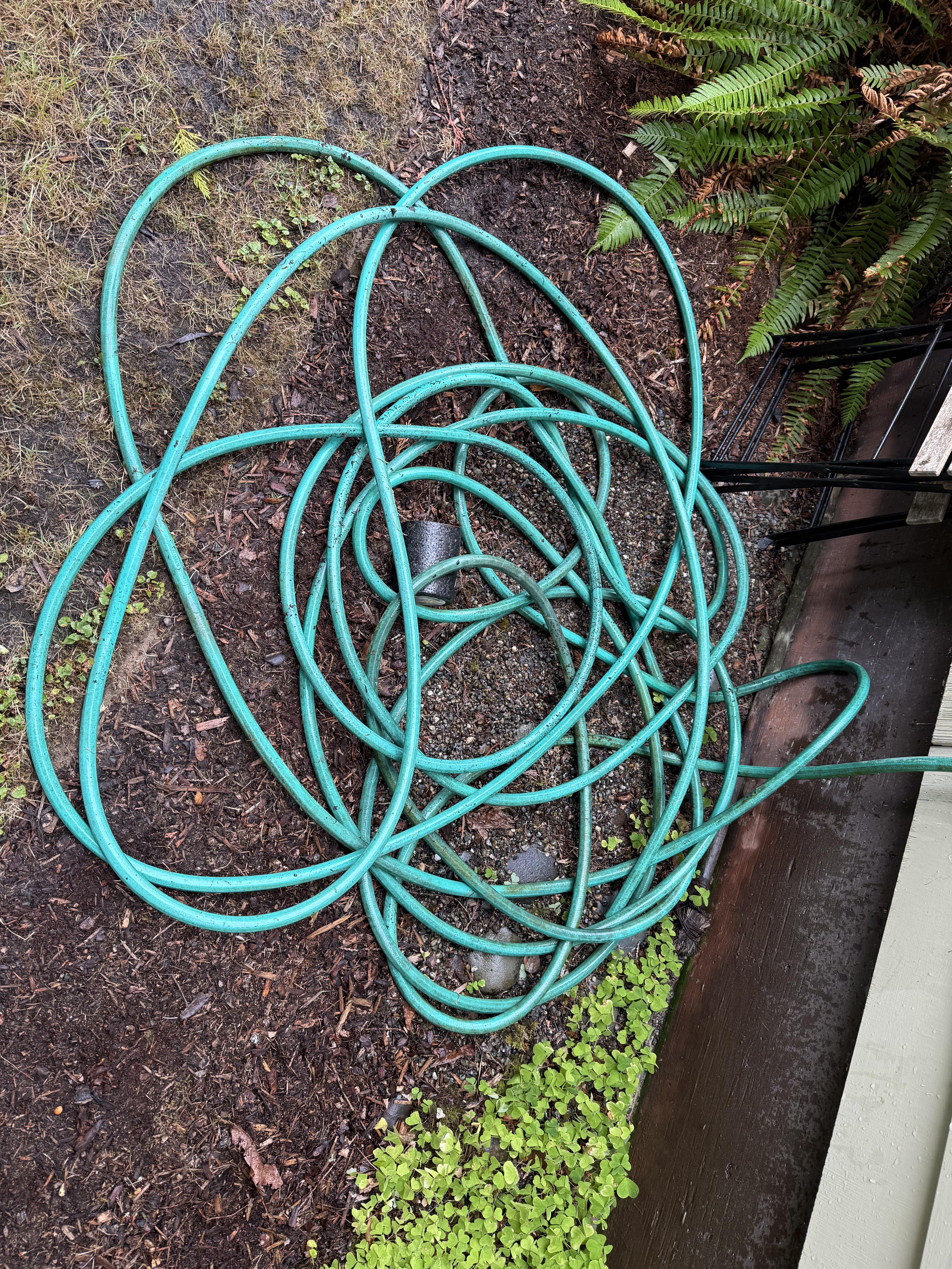 Spot the end of the hose. (Reddit) Spot the end of the hose. (Reddit)