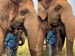 A tender moment between an elephant and her caretaker melted hearts online.