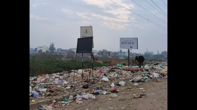 MC says majority of the area falls under GMADA’s jurisdiction, hence they are not responsible for its upkeep. (HT Photo) MC says majority of the area falls under GMADA’s jurisdiction, hence they are not responsible for its upkeep. (HT Photo)