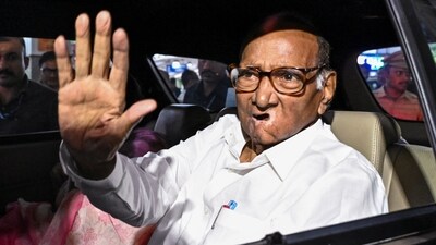 "We, the people of India, should support the government to protect the interests of the country," Sharad Pawar said (PTI)