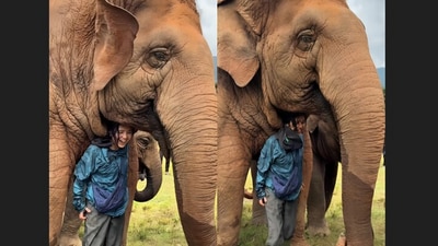 A tender moment between an elephant and her caretaker melted hearts online. (Instagram/elephantnaturepark) A tender moment between an elephant and her caretaker melted hearts online. (Instagram/elephantnaturepark)