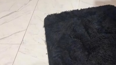 Optical illusion: Can you find the dog in seven seconds? (Reddit) Optical illusion: Can you find the dog in seven seconds? (Reddit)