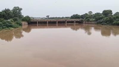 The water level in the Ghaggar river in Punjab’s Sangrur district has risen to 742.9 feet, which is just six feet below the danger mark. The water level in the Ghaggar river in Punjab’s Sangrur district has risen to 742.9 feet, which is just six feet below the danger mark.