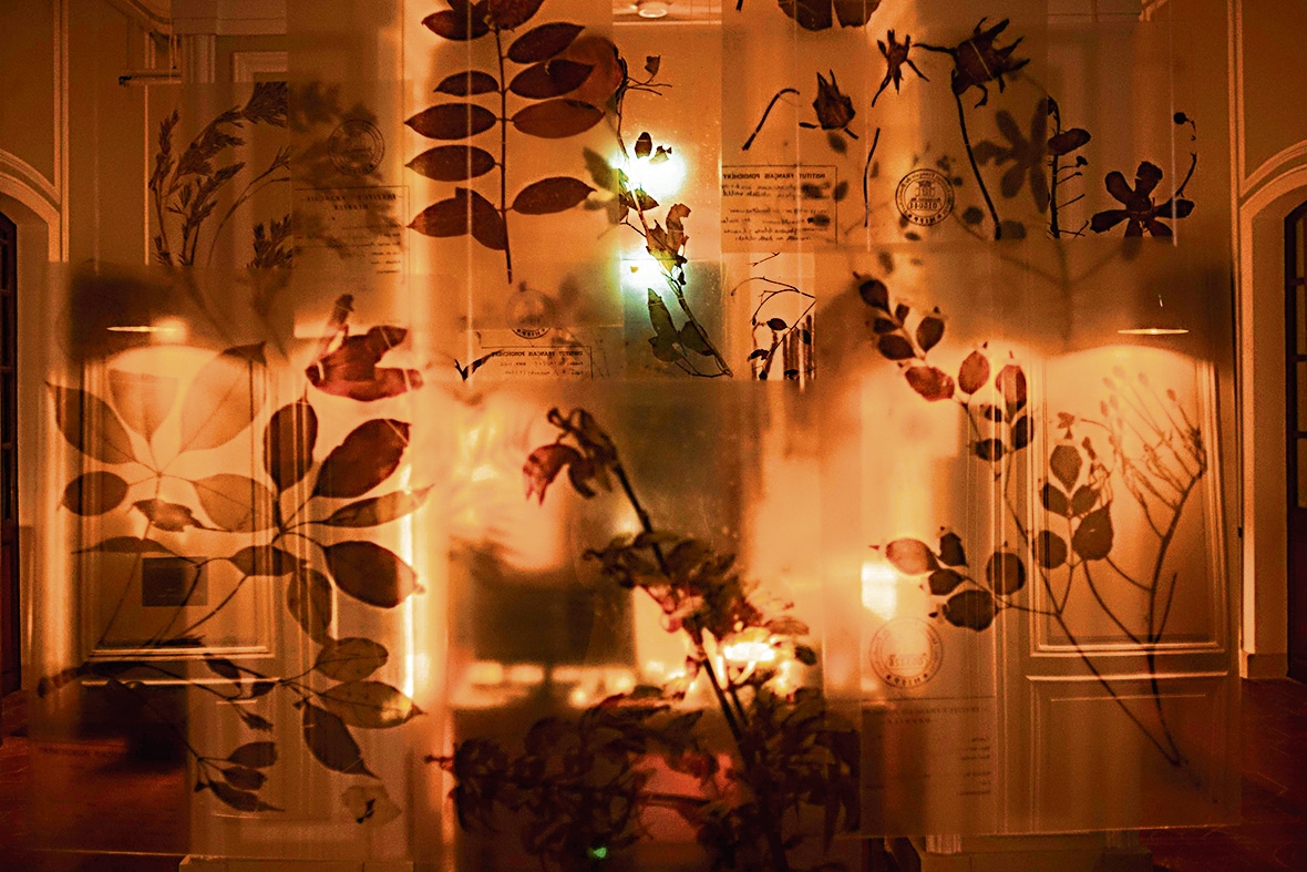 The translucent parchment screens. (Institut Français de Pondichéry / École Française d’Extrême-Orient) The translucent parchment screens. (Institut Français de Pondichéry / École Française d’Extrême-Orient)