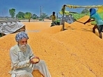 A farmer with his maize crop in Mullanpur grain market in Ludhiana. (File) A farmer with his maize crop in Mullanpur grain market in Ludhiana. (File)