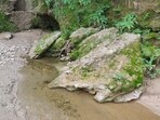 The Siswan jungle pool, with a nearby hollow. (Vikram Jit Singh)