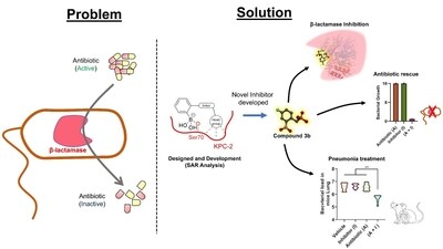 The newly discovered molecule belongs to a class of β-lactamase inhibitor drugs that prevent bacterial enzymes from breaking down life-saving antibiotics. The newly discovered molecule belongs to a class of β-lactamase inhibitor drugs that prevent bacterial enzymes from breaking down life-saving antibiotics.