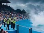 A viral video falsely claiming orca trainer Marina Lysaro was attacked by a killer whale has surfaced on social media.