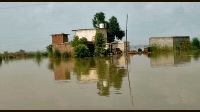 A flood-affected area in Kapurthala on Tuesday. A flood-affected area in Kapurthala on Tuesday.