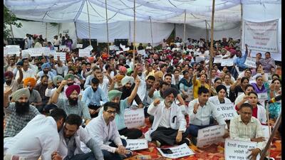 Government veterinary doctors during the protest at Khatkar Kalan in Nawashahar. (HT)