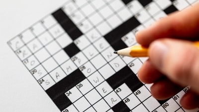 For representational purposes only. (Shutterstock) For representational purposes only. (Shutterstock)