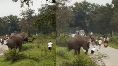 Viral video showed an elephant charging a man in Bandipur after a flash photo. (Instagram/thales_yoga) Viral video showed an elephant charging a man in Bandipur after a flash photo. (Instagram/thales_yoga)