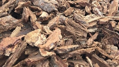 Can you spot the grasshopper? (Reddit/ r/FindTheSniper) Can you spot the grasshopper? (Reddit/ r/FindTheSniper)