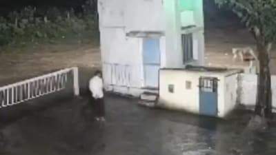 A cement factory worker in Junagadh accidentally met a lion while strolling near a house. (X/@susantananda3)
