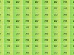 Can you find the 2o2 in the grid? Can you find the 2o2 in the grid?