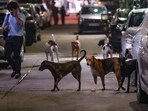 Delhi lacks permanent shelters that can offer lifetime care to strays and has only 20 animal birth control centres for temporary stays, which can together accommodate a maximum of 4,000-5,000 animals. (PTI)