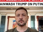 On cam: Zelensky's latest bid to brainwash Trump on Putin talks On cam: Zelensky's latest bid to brainwash Trump on Putin talks