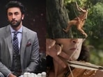 Mukesh Khanna says he's not sure if Ranbir Kapoor can play Lord Ram in Ramayana. Mukesh Khanna says he's not sure if Ranbir Kapoor can play Lord Ram in Ramayana.