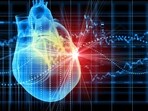 Understanding the role of tests that help detect the condition of your heart and maintain cardiovascular health is crucial. 