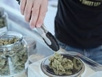 The passenger was arrested under the provisions of the Narcotic Drugs and Psychotropic Substances (NDPS) Act, 1985, and remanded to judicial custody.