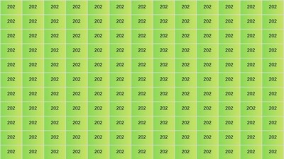 Can you find the 2o2 in the grid? Can you find the 2o2 in the grid?