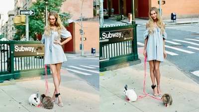 Anna Delvey starred in a photoshoot with rabbits that were later found abandoned in a park. Anna Delvey starred in a photoshoot with rabbits that were later found abandoned in a park.