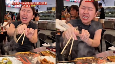 Bizarre incidents that captured humans being attacked by live food. (@rural_life_china/TikTok) Bizarre incidents that captured humans being attacked by live food. (@rural_life_china/TikTok)