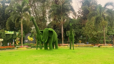 Topiary that welcomes you as you enter the Alipore Zoo in Kolkata (Hindustan Times) Topiary that welcomes you as you enter the Alipore Zoo in Kolkata (Hindustan Times)