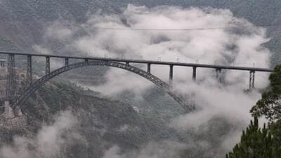 The panel also called for expanding real-time monitoring system to cover vulnerable bridges like Anji and Chenab in Reasi and Bogibeel Bridge near Assam. (PTI)