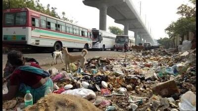 Up to 50% of key supervisory roles such as chief sanitary inspectors remained vacant, leading to operational bottlenecks and oversight gaps in daily waste collection and sanitation, as per the report. (File Photo) Up to 50% of key supervisory roles such as chief sanitary inspectors remained vacant, leading to operational bottlenecks and oversight gaps in daily waste collection and sanitation, as per the report. (File Photo)