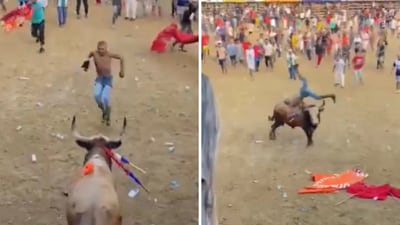 He was seen trying to leap over the bull but didn’t clear the jump and got attacked multiple times. (X/@PlataformaALTO) He was seen trying to leap over the bull but didn’t clear the jump and got attacked multiple times. (X/@PlataformaALTO)