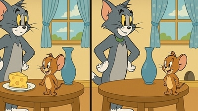 Can you spot all the differences? Can you spot all the differences?
