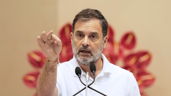 ‘Blanket removals cruel’: Rahul Gandhi on SC stray dog order. (PTI File)