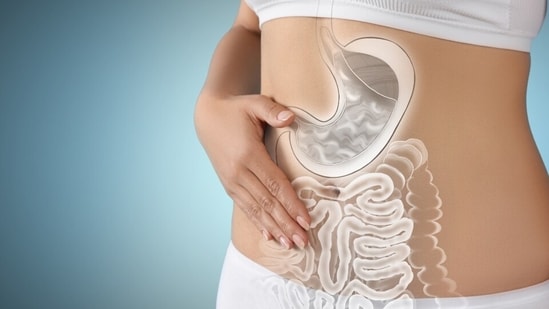 Nausea, constipation, diarrhoea, bloated stomach, acidity and indigestion are common symptoms caused by compromised gut health during the monsoon. (Shutterstock)
