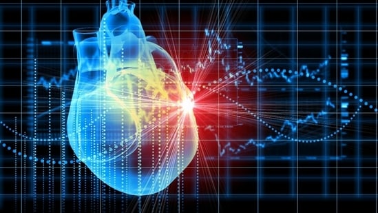 Understanding the role of tests that help detect the condition of your heart and maintain cardiovascular health is crucial. (Shutterstock)