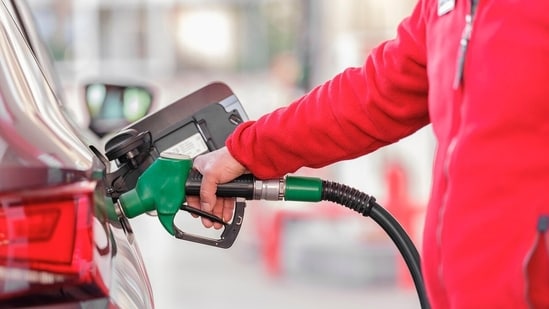 Benefits of ethanol include improvement in the engine performance and ride quality in modern vehicles, says ministry. (Pixabay/Representative Image)
